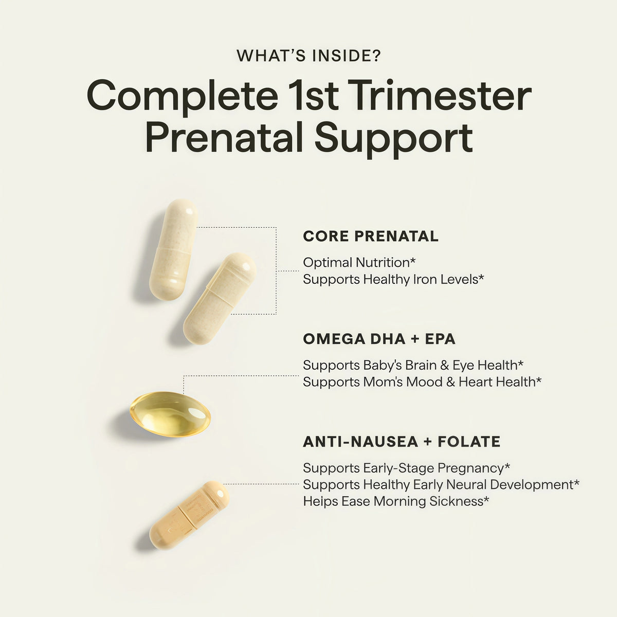 1st Trimester Prenatal Pack